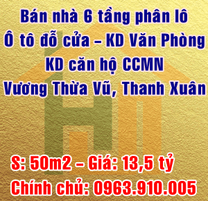 Bán nhà lô góc phân lô, ô tô đỗ cửa, kinh doanh phố Vương Thừa Vũ, Thanh Xuân 50m2 giá 13.5 tỷ
